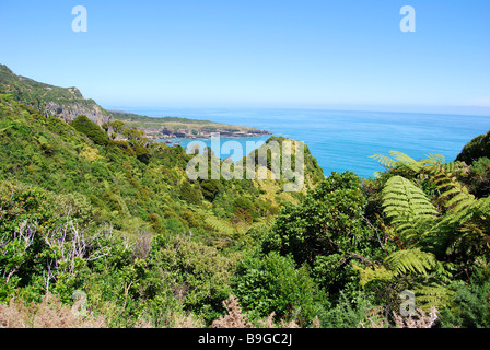 Vista costiera, Paparoa National Park, West Coast, Isola del Sud, Nuova Zelanda Foto Stock