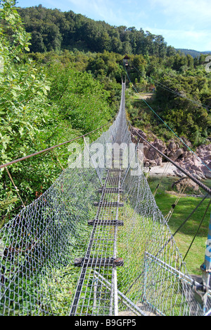 La Buller Gorge Swingbridge Avventura & Heritage Park, Superiore Buller Gorge, Murchison, Tasmania, Isola del Sud, Nuova Zelanda Foto Stock