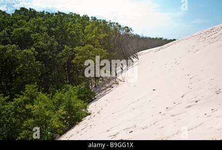Dune invadendo e foresta di seppellimento Lacka Gora dunes Parco Nazionale di Slowinski Leba Polonia Foto Stock