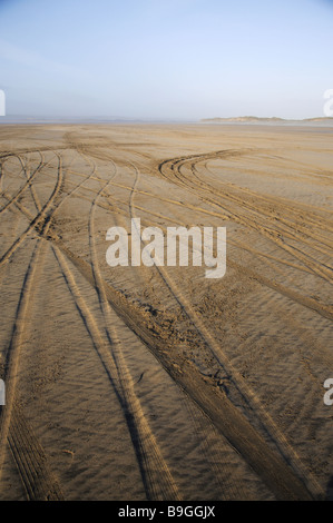 Kite buggy tracce nella sabbia Foto Stock