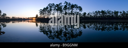 Slash pine forest si riflette nel lago al tramonto in pino lunga area chiave Everglades National Park Florida Foto Stock