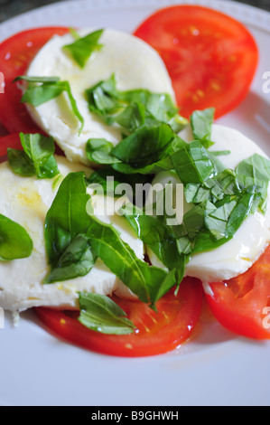 Il cibo italiano insalata caprese basilico pomodoro e mozzarella olio d' oliva Foto Stock