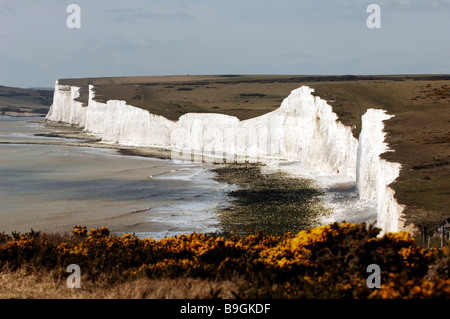 Scogliere lungo le sette Sorelle viste da Birling Gap nel Sussex est del Regno Unito Foto Stock