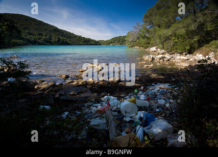 Cucciolata dall Adriatico anche raccoglie sulle rive di Malo Jezero, un parco nazionale e sito UNESCO sull'isola di Mljet. Foto Stock