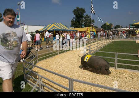 Spettatori in gare di maiale, Dutchess County Fair, Rhinebeck, New York Foto Stock