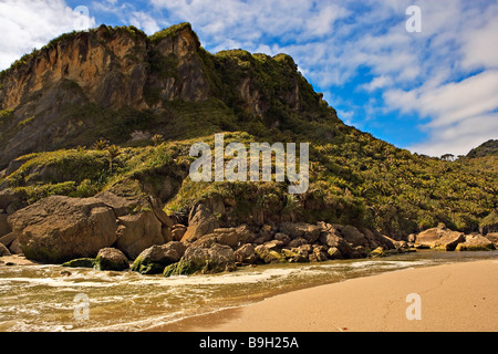 Kohaihai Beach all'inizio dell'Heaphy via vicino a Karamea costa ovest di Isola del Sud della Nuova Zelanda Foto Stock