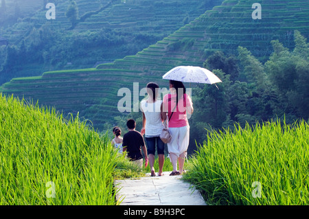 Cina, provincia di Guangxi, Longsheng Dragon's Backbone terrazze di riso nei pressi di Guilin. I turisti a piedi attraverso i campi di riso. Foto Stock