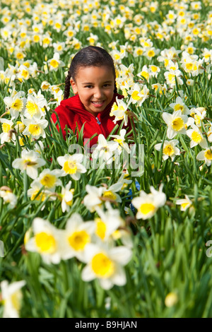 Una giovane e bella gara di misto ragazza a giocare in un campo di narcisi Foto Stock