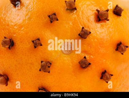 Buccia di arancia costellata di chiodi di garofano, aromatico decorazione di Natale Foto Stock