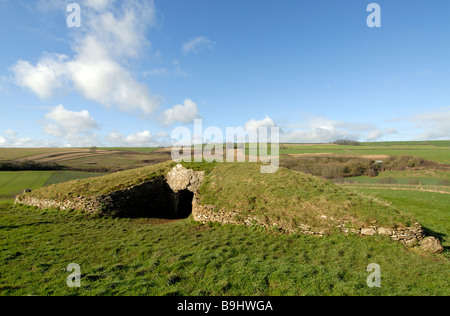 Ingresso alla Stoney Littleton Long Barrow. Foto Stock