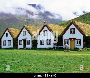 Sod case, case di tappeto erboso, museo, Laufas, Islanda Foto Stock