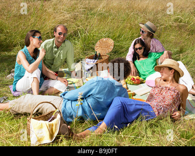 Gruppo di amici avente un picnic Foto Stock