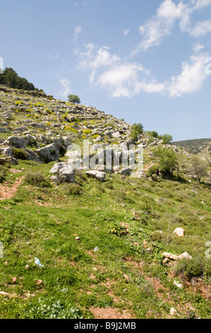 Israele Galilea superiore Amuka Scenic paesaggio di primavera Marzo 2009 Foto Stock