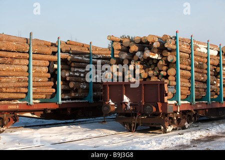 Abete rosso ( Picea abies ) registri su treno caricato in pianali atti con picchetti , Finlandia Foto Stock