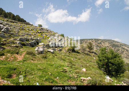 Israele Galilea superiore Amuka Scenic paesaggio di primavera Marzo 2009 Foto Stock