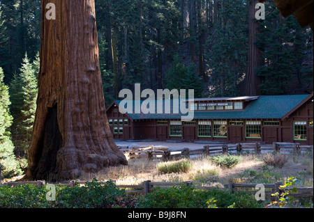 Giant Forest Museum, Sequoia National Park, California, Stati Uniti d'America Foto Stock