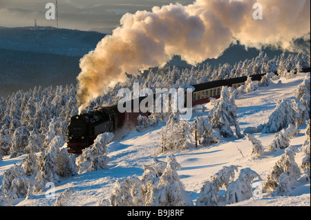 Harz ferrovia a scartamento ridotto in una foresta wintery, motore a vapore, Brocken, Blocksberg, Parco Nazionale di Harz, Sassonia-Anhalt, Germania, Foto Stock