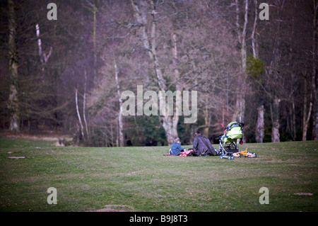 Picnic in famiglia nel parco Foto Stock