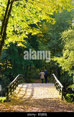 Titolare di pensione o di rendita giovane attraversando piccolo ponte di legno in una foresta autunnale, Hesse Foto Stock
