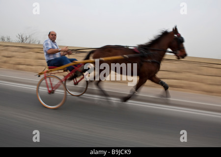 Trotter tirando un carrello attraverso le strade, Malta, Europa Foto Stock