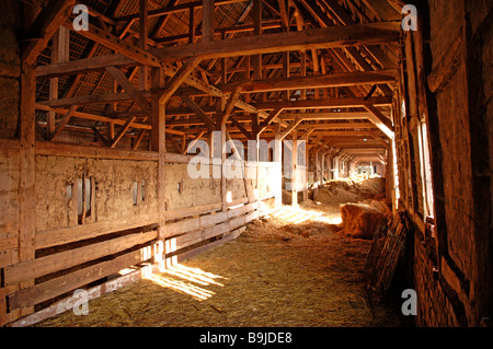 Interno di un vecchio, a struttura mista in legno e muratura, granaio costruito 1923, Othenstorf, Meclemburgo-Pomerania Occidentale, Germania, Europa Foto Stock