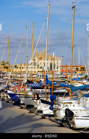 Barche a vela in marina sul Passeig Maritim, Reial Club Nautic, Port de Palma, di fronte La Seu Cathedral, Palma de Ma Foto Stock