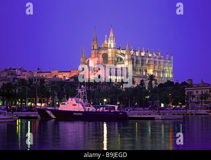 Spagna Isole Baleari isola di Palma di Maiorca cattedrale La Seu illuminazione serale isola di destinazione-capitale Palma de Maiorca Foto Stock