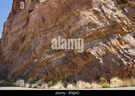 Medio Proterozoic rocce sedimentarie strato di geologia Foto Stock