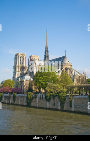 La cattedrale di Notre Dame e il Fiume Senna nel sole primaverile Parigi Francia Europa UE Foto Stock