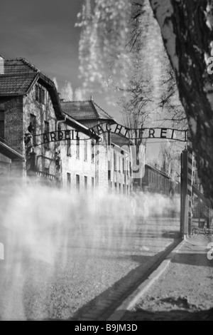 Girato in infra-rosso. Una lunga esposizione delle impressioni di persone a piedi attraverso i cancelli di Auschwitz in Polonia Foto Stock