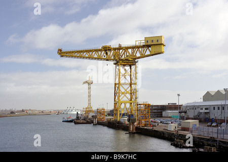 Una gru a Buccleuch Dock. Barrow-in-Furness, Cumbria, England, Regno Unito, Europa. Foto Stock