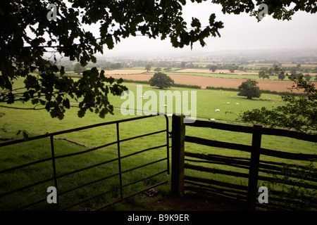 Shropshire paesaggio. Guardando da un cancello di fattoria attraverso i campi e terreni agricoli in una giornata nebbiosa. Foto Stock