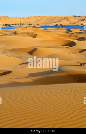 Il Marocco, Sud Marocco, area di Laayoune, deserto e laguna (ex Sahara spagnolo) Foto Stock