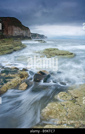 Una mattina tempestoso a Thornwick Bay cercando lungo la costa verso Bempton Cliffs sulla costa dello Yorkshire Foto Stock