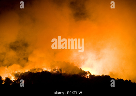 Bushfire nella Sierra de Mijas Foto Stock