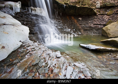 Inverno in Ohio blu cade di gallina Foto Stock