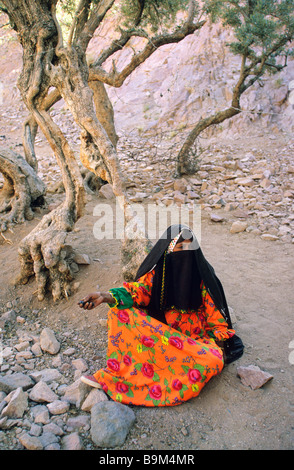 L'Egitto, la penisola del Sinai, nei pressi di Santa Caterina, beduino Foto Stock