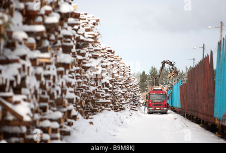 Carico tronchi da camion a treno di tronchi di carico in inverno presso deposito ferroviario , Finlandia Foto Stock