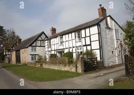 Eardisland Herefordshire Inghilterra UK Marzo tipiche case in uno degli affascinanti neri e bianchi villaggi Foto Stock
