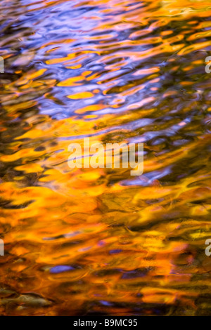 La riflessione di colori autunnali in acqua Foto Stock