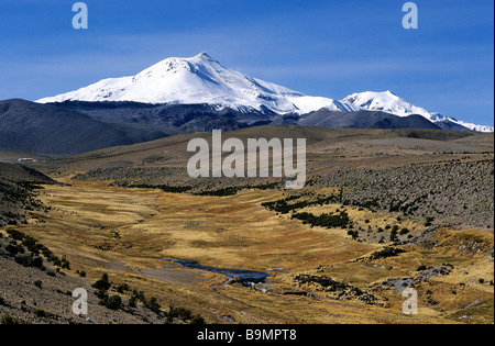 Il Cile, Tarapaca regione, provincia di Parinacota, Lauca National Park, classificato Riserva della Biosfera dall'UNESCO Foto Stock