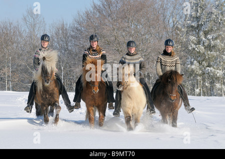 Quattro giovani piloti sul retro dei cavalli islandesi durante un giro in inverno Foto Stock
