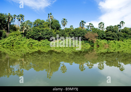 Il Senegal, regione di Tambacounda, Niokolo Koba Parco Nazionale, classificato come patrimonio mondiale dall' UNESCO e riserva della biosfera, Fiume Foto Stock