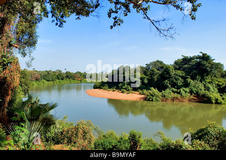 Il Senegal, regione di Tambacounda, Niokolo Koba Parco Nazionale, classificato come patrimonio mondiale dall' UNESCO e riserva della biosfera, Fiume Foto Stock