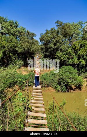 Il Senegal, regione di Tambacounda, Niokolo Koba Parco Nazionale, classificato come patrimonio mondiale dall' UNESCO e riserva della biosfera, Foto Stock