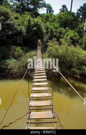 Il Senegal, regione di Tambacounda, Niokolo Koba Parco Nazionale, classificato come patrimonio mondiale dall' UNESCO e riserva della biosfera, Foto Stock