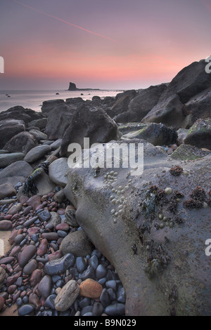 Guardando verso il nero seastack Nab a Saltwick Bay nel North York Moors National Park Whitby North Yorkshire Regno Unito Foto Stock