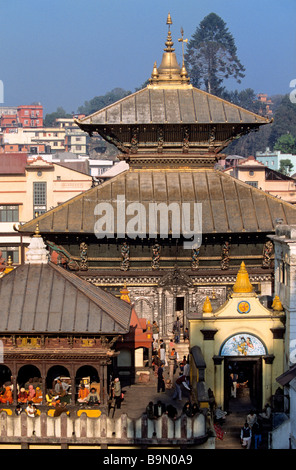 Il Nepal, Valle di Kathmandu, classificato come patrimonio mondiale dall' UNESCO, Kathmandu, Pashupatinath tempio indù dedicato a Shiva Foto Stock