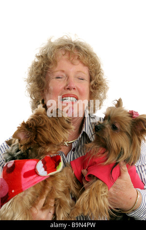 Una donna che mantiene due Yorkshire terrier cani uno lambito con la sua sorpresa Foto Stock