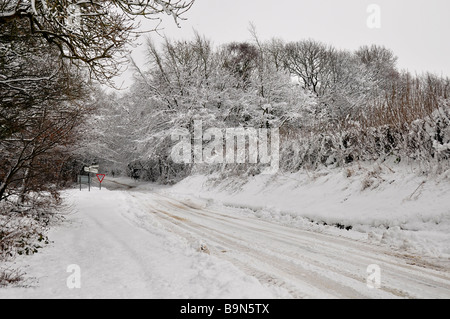 Vicolo del paese attraverso Cotswold faggete nella neve profonda Foto Stock